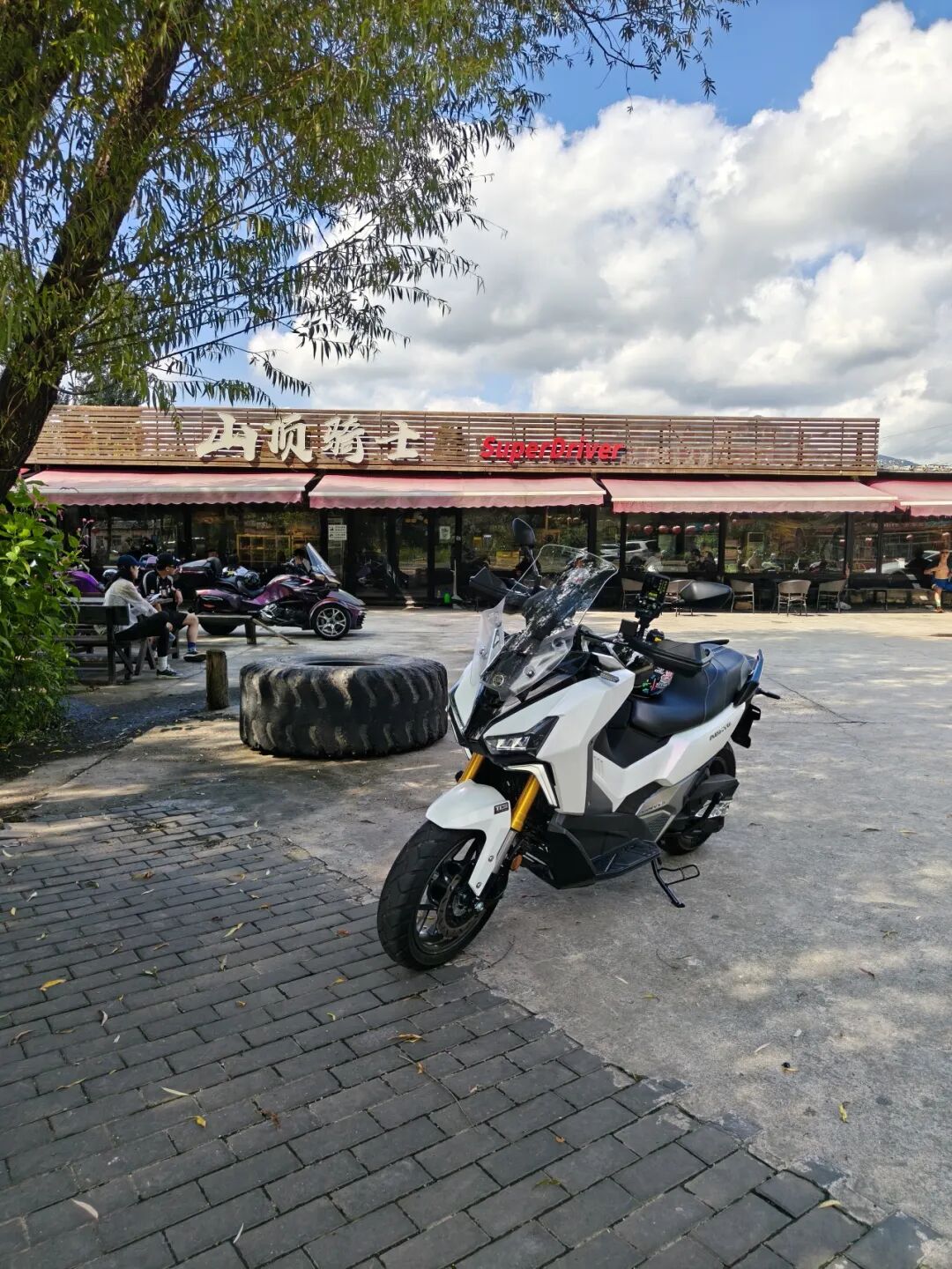 17.jpg